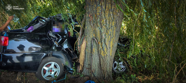 Смертельна ДТП під Кивом: загинула дитина, постраждала жінка - INFBusiness