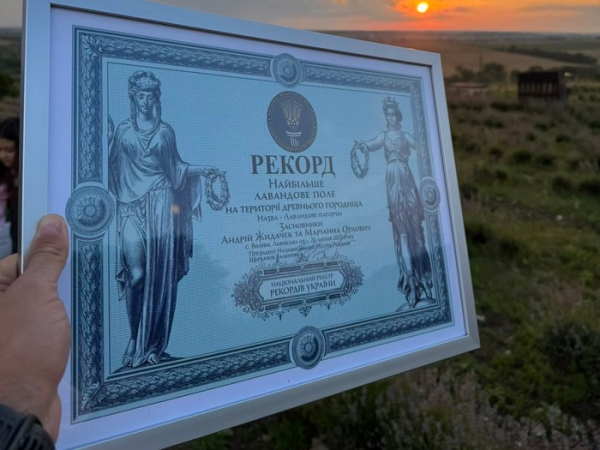 «28 тисячі саджанців лаванди садили вручну близько тижня»: подружжя зі Львівщини зареєструвало незвичний рекорд - INFBusiness