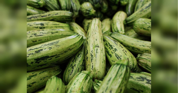 Заморожуємо кабачки на зиму: як не зіпсувати продукт - INFBusiness