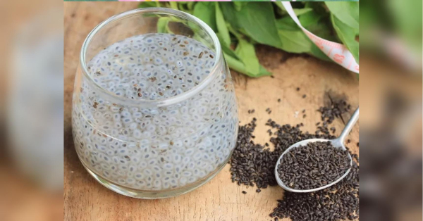 Це крихітне насіння регулює рівень цукру: просто додайте його до меню - INFBusiness