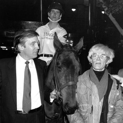 Автопарк майже на мільярд, Ренуар, кепки та картинки NFT: всі колекції Дональда Трампа - INFBusiness