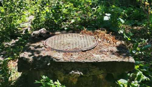 Головна державна санітарна лікарка Кіровоградщини – про невидиму небезпеку, яку не варто ігнорувати - INFBusiness