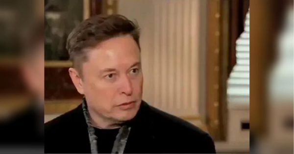 Маск виділить кошти на мурали на честь вбитої біженки з України - INFBusiness