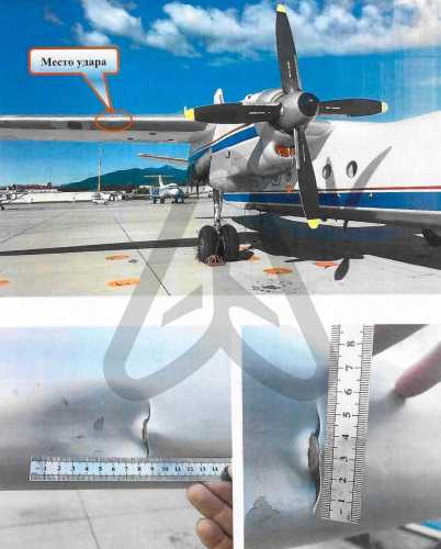 У Росії виявили перший випадок можливого зіткнення літака з дроном, - ЗМІ - INFBusiness