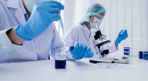 Китайські вчені знайшли ключовий ген для боротьби з килою хрестоцвітих