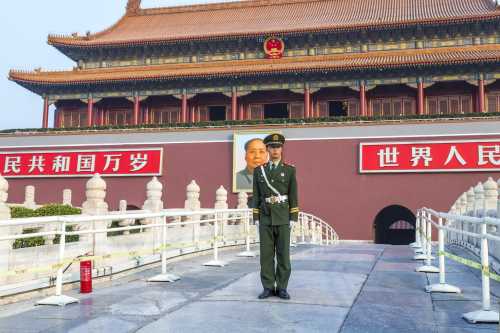 Китаєзнавець Віта Голод: про китайський націоналізм, майбутній парад і роль Пекіна у війні - INFBusiness