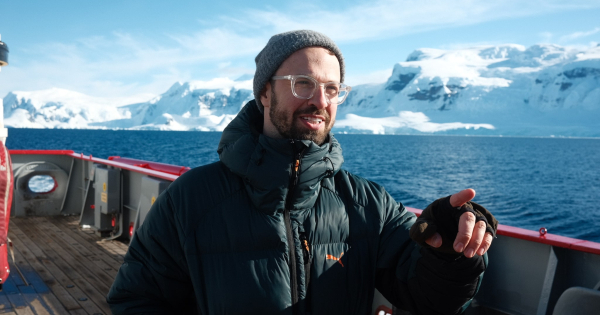 Фільм «Антарктида» вже у прокаті. П’ять відгуків про нову роботу Антона Птушкіна - INFBusiness