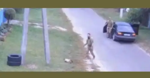 У ТЦК обурилися припущеннями про викрадення кота на Київщині - INFBusiness