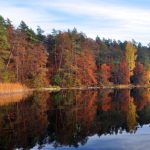 Листопад дебютує теплом та обіцяє бути аномальним: які погодні сюрпризи піднесуть українцям перші вихідні місяця - INFBusiness