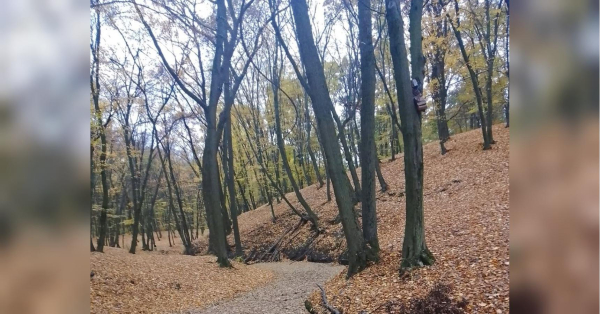 Завалить снігом чи буде тепло: синоптики здивували прогнозом на листопад - INFBusiness