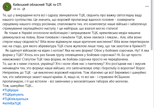 У ТЦК обурилися припущеннями про викрадення кота на Київщині - INFBusiness
