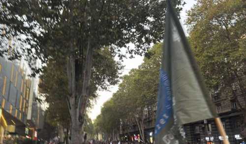 Грузини на вулицях Тбілісі: Україна вже перемогла - INFBusiness