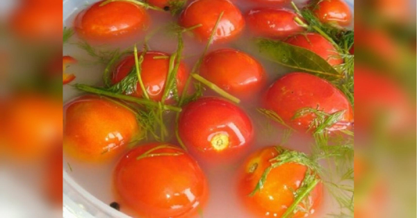 Квашені помідори з гірчицею: простий рецепт - INFBusiness