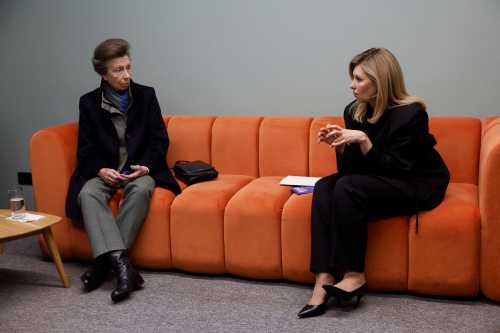 Принцеса Анна під час візиту до України зустрілася із президентом Зеленським - INFBusiness