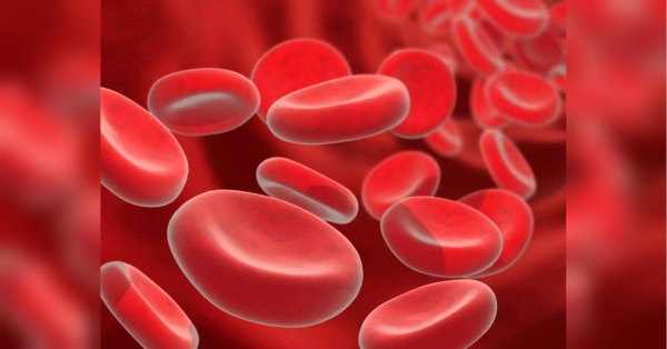 Низький гемоглобін: які продукти можуть підвищити його - INFBusiness