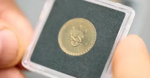 У Раді зареєстрували законопроєкт, який пропонує замінити "копійку" на "шаг" - INFBusiness