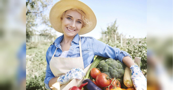 «Зарий свої труси»: городниця з Одеси розповіла про дивний експеримент, який проводять зарубіжні фермери - INFBusiness