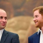 Ворожнеча між принцами Вільямом і Гаррі: чому експерти звинувачують Меган Маркл - INFBusiness