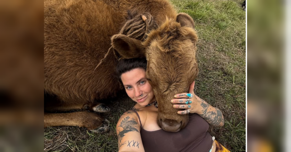 Виявляється, що фермерством захоплюється не лише легенда «Манчестер Юнайтед» Девід Бекхем, а й зірка фільмів для дорослих Індіка Флауер — вона облаштувала справжнісіньку ферму, витративши на неї кошти, зароблені на відвертих знімках. Американська модель відкрила ферму й заробляє статки біля кіз і вуликів (фото) - INFBusiness