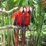 «Іноді ШІ радить туристам вигадані локації й вводить в оману щодо вартості квитків», — турагентка Мар’яна Федоришин - INFBusiness