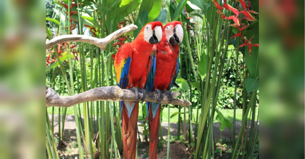 Сьогодні штучний інтелект охопив майже всі сфери життя. Ставите запитання — і за лічені секунди отримуєте відповідь. Це дуже економить час і тому подобається людям. «Іноді ШІ радить туристам вигадані локації й вводить в оману щодо вартості квитків», — турагентка Мар’яна Федоришин - INFBusiness
