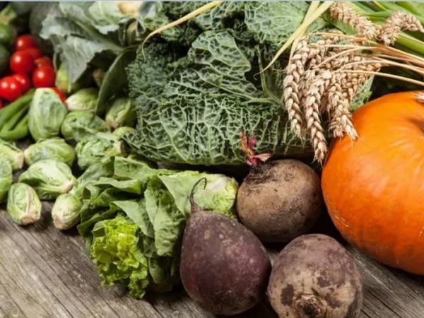 Під час посту їжа була рослинною Без весіль, з гастрономічними і розважальними обмеженнями: як у Пилипівку українці готувалися до зустрічі найголовнішого зимового свята - INFBusiness