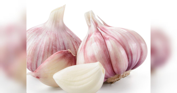 Часник широко використовується в кулінарії завдяки своєму виразному смаку. Лікарі та дієтологи зазначають, що вживання часнику може позитивно впливати на імунну функцію, серцево-судинну систему, запалення та процеси травлення. Зміцнює серце і нормалізує тиск: секрет правильного вживання часнику - INFBusiness