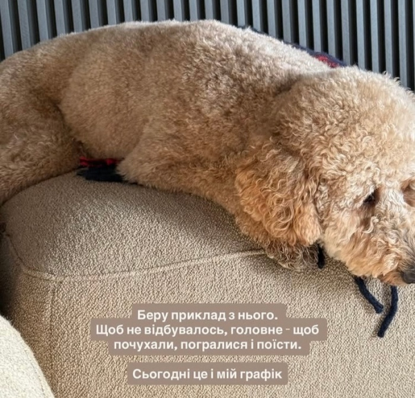 У ніч проти 14 листопада росія вчергове здійснила ракетно-дронову атаку по українських мирних містах. Під масованим ударом опинився Київ, де відомо вже про загибель п’ятьох людей, ще 27 отримали поранення. На жахливу ворожу атаку відреагували зірки на своїх сторінках у соціальних мережах. Багато хто з них провів ніч в укриттях та у підземних гаражах, переховуючись разом з дітьми. Біля нас прильоти: зірки відреагували на жахливу ракетну атаку столиці - INFBusiness