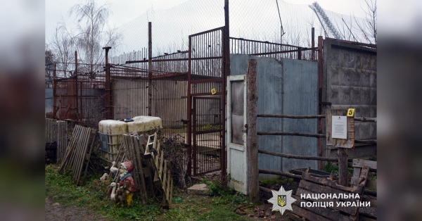 З хижими тваринами, які перебувають у зоопарках чи утримуються в цирках, періодично трапляються надзвичайні події. Так, у Запоріжжі ведмідь напав на дресирувальника просто під час вистави, а у Хмельницькому напередодні шукали двох левиць, яких утримували у зоокуточку. У Хмельницькому всім світом ловили левів, що втекли (відео) - INFBusiness
