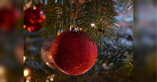 Вже четвертий рік поспіль українці святкуватимуть Різдво та Новий Рік без особливих разваг — війна триває, росіяни як і раніше завдають ударів як по прифронтових, так і по тилових містах. Останніми роками на Софійській площі в столиці встановлювали головну ялинку країни, не влаштовуючи масових заходів та з дотримуванням безпекових вимог. Цього року головну новорічну ялинку України зможуть наряджати усі охочі: якою вона буде - INFBusiness