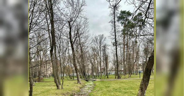 Сильний вітер та значне похолодання: синоптики засмутили прогнозом на 18 листопада - INFBusiness