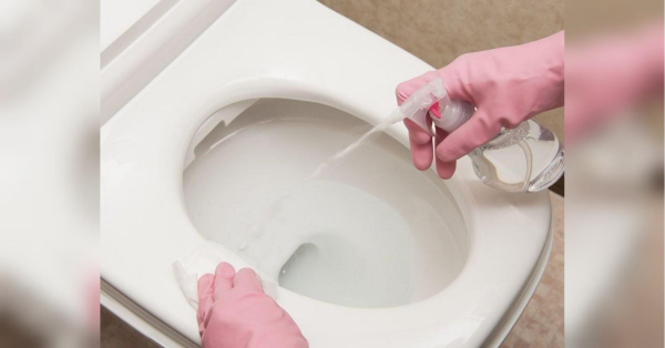 Засяє за 15 хвилин: несподіваний лайфхак для ідеально чистого унітазу - INFBusiness
