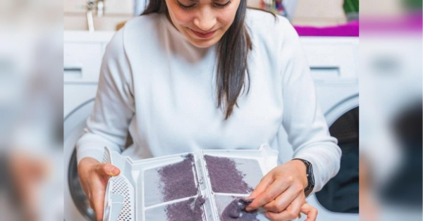 Чому ворсу в сушарці накопичується більше в холодну погоду: ви цього точно не знали - INFBusiness