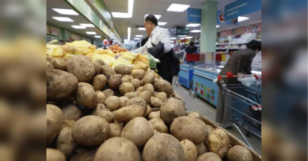 Прогнози починають збуватися: в Україні починає дорожчати важливий продукт, і чи винен у цьому майбутній блекаут? - INFBusiness
