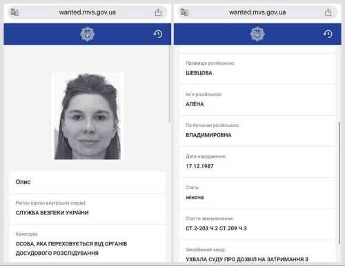 Співвласниця Айбокс банку Альона Шевцова намагається закрити справу про відмивання коштів для нелегальних казино через Верховний суд - INFBusiness