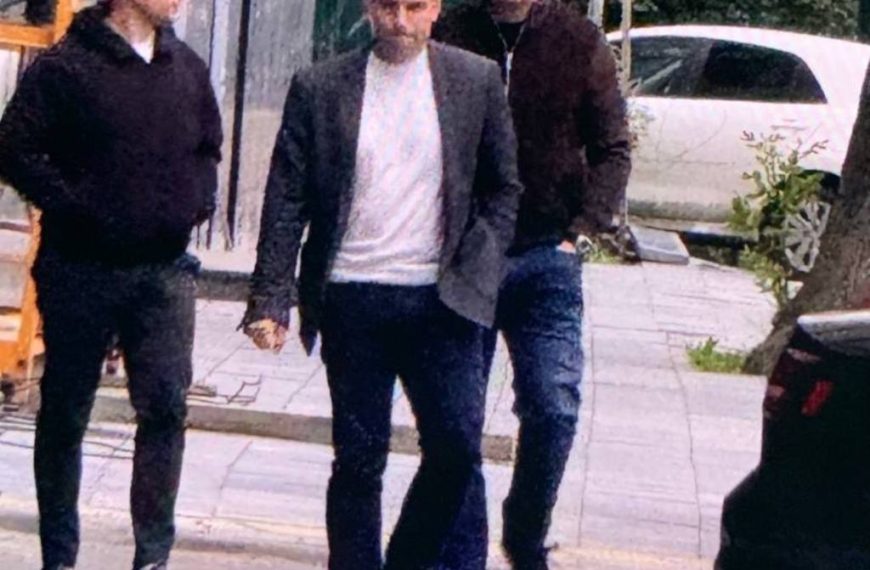 Керівник компаній “Пей Плейс Україна” і гаманець Wallet One (W1) Олександр Сердюк, фактичний засновник та бенефіціар низки платіжних компаній, залучивши Веремчука А.П., Стржалківську В.М., Рудомана А.В., Гелашвіллі Мераба, Геренава Ное, Шахін Агах та Армаго Роландо, створив організовану групу, яка забезпечує роботу тіньової платіжної інфраструктури.