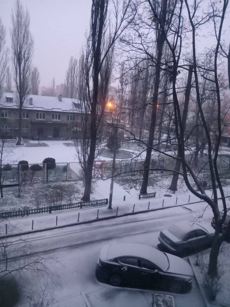 Засніжить, але недовго: у середині грудня в Україні ще втримається плюсова температура - INFBusiness