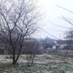 Достатньо просто розсипати на снігу: які добрива використовувати взимку на дачній ділянці - INFBusiness