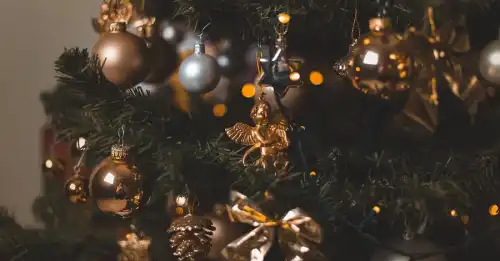 У різдвяних привітаннях королі Бельгії, Британії та Швеції згадали про Україну - INFBusiness