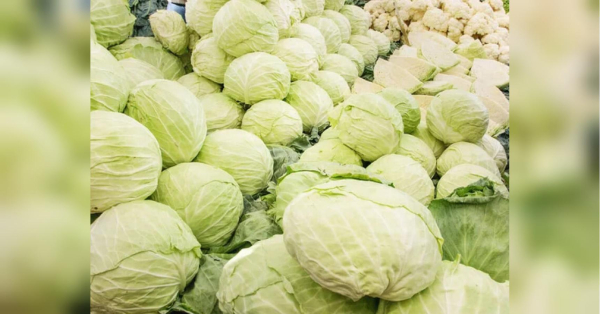 На 85% дешевше ніж рік тому: в Україні дешевшає один продукт, шкода не новорічний - INFBusiness