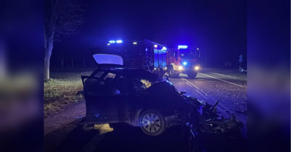 Смертельна ДТП під Любліном: автобус із українцями пролетів у поле після лобового удару - INFBusiness