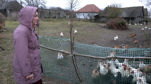 «Завжди інтуїтивно знала, як писати слова та де ставити розділові знаки»: домогосподарка з Волині потрапила у список українців, які найкраще написали радіодиктант - INFBusiness