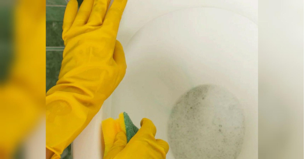 Розчиняє накип у туалеті за 15 хвилин: вчені назвали «чудодійний» продукт з незвичними якостями - INFBusiness