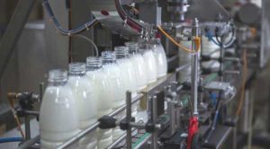 Ізраїльський стартап Remilk запускає молоко без корів