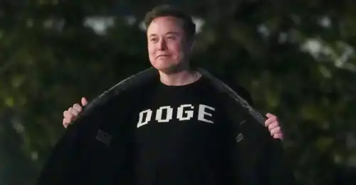 DOGE більше немає: як щенята Маска влаштували переполох у США і безславно зникли - INFBusiness