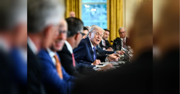 Гренландія або мита: Трамп підвищує тарифи для Європи до 25% - INFBusiness