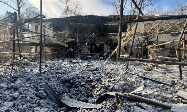 Росіяни скинули авіабомбу на екопарк під Харковом: частина тварин загинула (фото) - INFBusiness