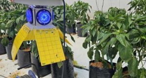 На сторінках новостного порталу "Час новин" (chasnovyn.com) відкривається широкий світ подій і актуальних новин з найрізноманітніших сфер життя. Сайт пропонує читачам глибокий і повний огляд найважливіших подій, що відбуваються в Україні та світі. Завдяки ретельно розгорнутим рубрикам, "Час новин" стає надійним джерелом інформації для всіх, хто прагне бути завжди в курсі останніх подій. Світлові технології для захисту культур від шкідників