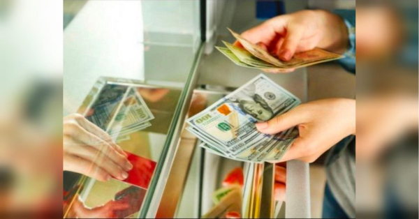 Готівкова валюта набирає популярності серед українців: як купити долари за вигідним курсом - INFBusiness