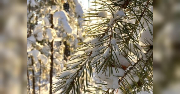 Терезам не варто втручатися у чужі «розбірки», а Водоліям треба уникати&hellip;